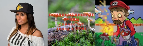 ешки Алексеевка