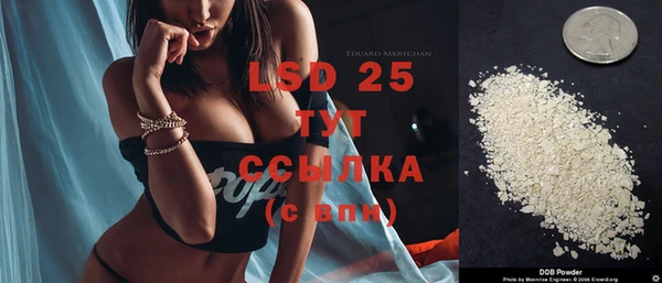 ECSTASY Алзамай