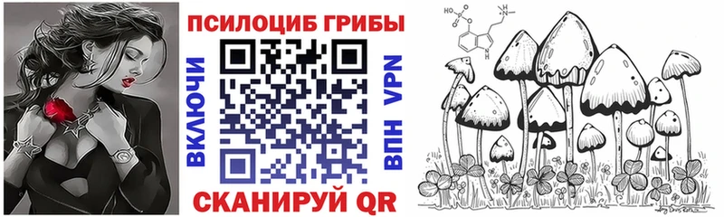 Псилоцибиновые грибы Cubensis  купить наркотик  Карабулак 